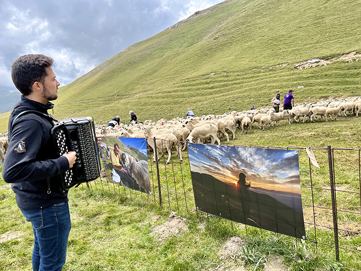 Una mostra fotogràfica i gastronòmica a 2.200 metres d'altura homenatja els pastors amb ramats a la vall d'Àssua