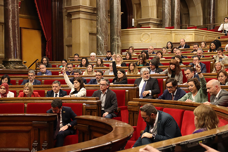 El Parlament reconeix l'aranès com a llengua vehicular en l'ensenyament no universitari