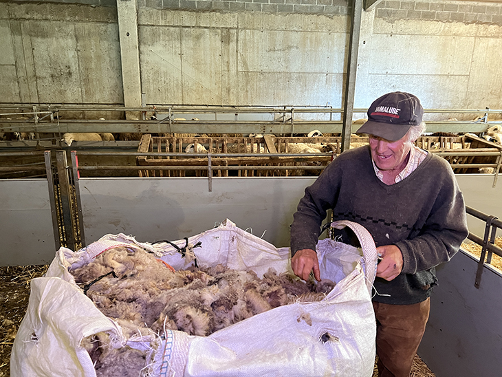 La llana d'ovella es converteix en un problema per als ramaders del Pirineu al considerar-se un material de rebuig