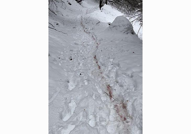Queixes sobre les batudes de caça a l'Aran, on senderistes afirmen sentir trets i veure rastres de sang en algunes rutes