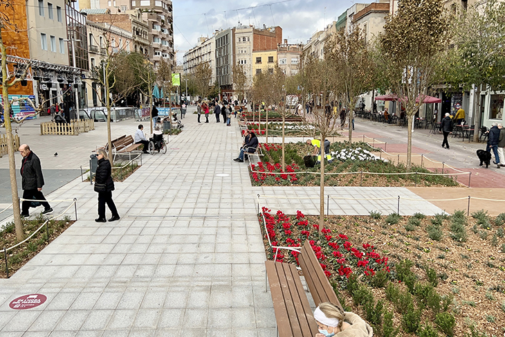 El centre de Sabadell recupera el verd amb el renovat passeig de la Plaça Major