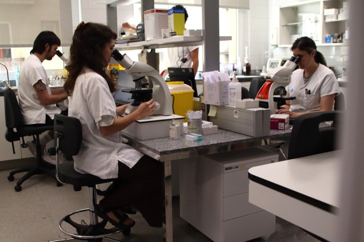 Vall d'Hebron i l'Atenció Primària despleguen una prova pilot en deu CAP de Barcelona per detectar dengue autòcton