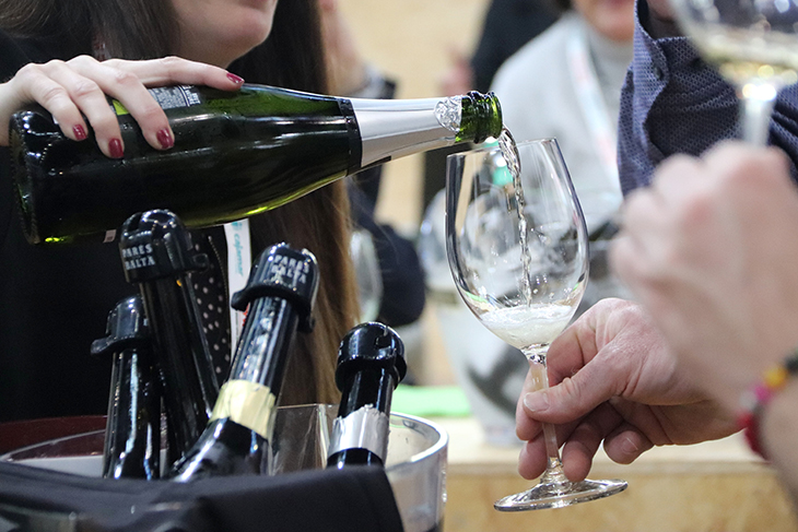 El món del vi se cita a la Barcelona Wine Week amb la sequera com a "gran problema" per al sector