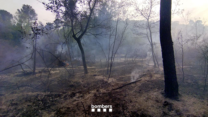 Els Bombers rematen l'incendi forestal de la Palma de Cervelló, que ha afectat una hectàrea