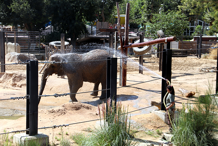 Els treballadors del Zoo de Barcelona faran una hora de vaga aquest dissabte si no se'ls aplica un increment del sou