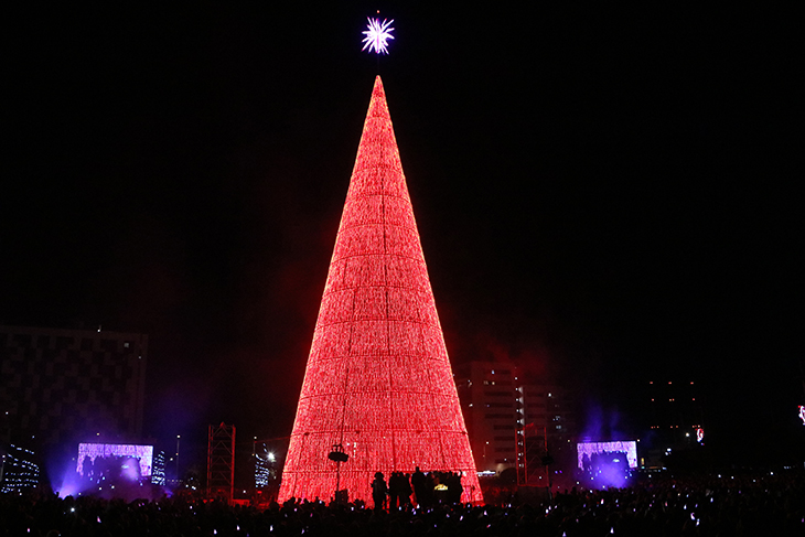 Badalona il·lumina el seu arbre gegant de 40 metres d'alçària i 82.000 llums led