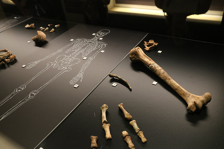 Identifiquen 54 restes neandertals de fa més de 50.000 anys a la Cova Simanya de Sant Llorenç Savall