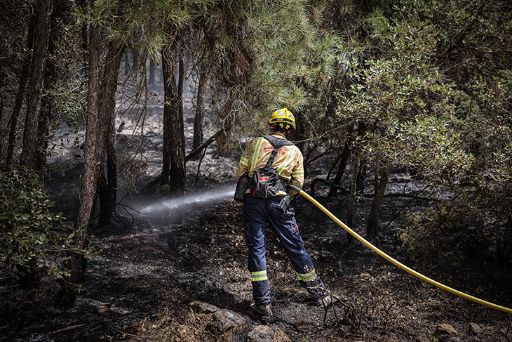 Els Bombers donen per estabilitzats els incendis