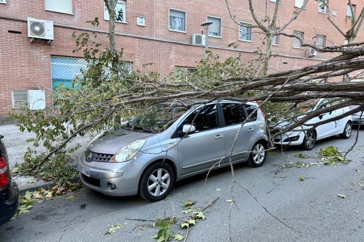 Els Bombers reben 1.000 avisos pel vent, la majoria a l'àrea metropolitana i 80 entre les 18 i les 20 hores