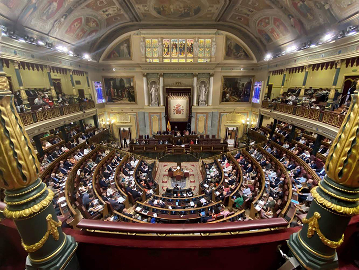 El ple del Congrés aprova per unanimitat la tramitació de la primera llei ELA