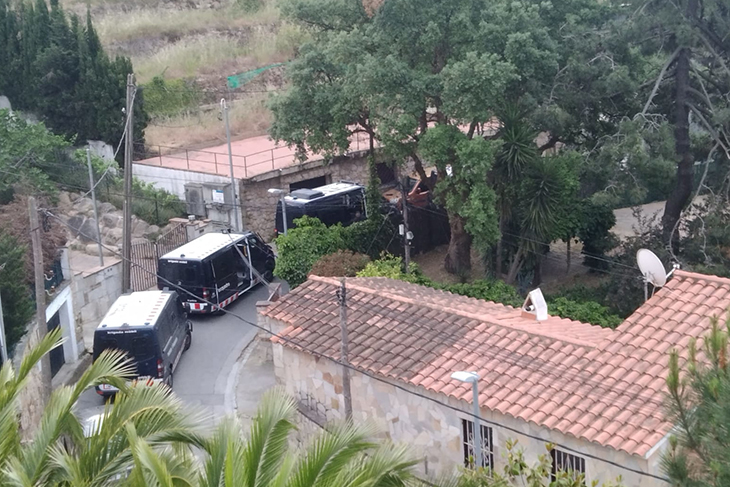 xarxa dedicada a la marihuana