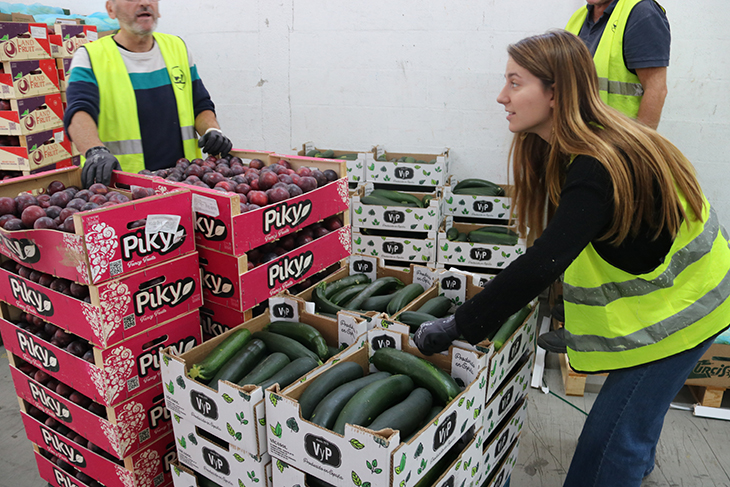 El Banc dels Aliments fa una crida a la col·laboració al Gran Recapte davant la incertesa de recursos del 2024