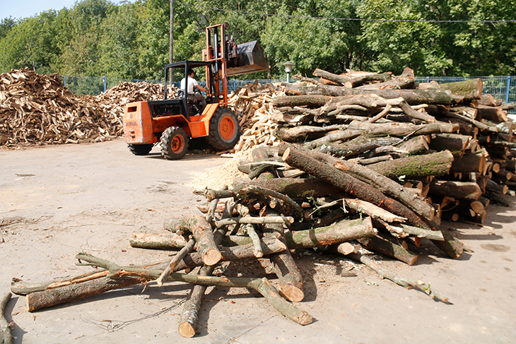 Creix la demanda de biomassa per culpa de la crisi energètica i el sector reclama ajuts per evitar desabastiment