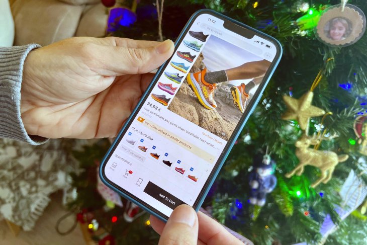 Els Mossos alerten d'un increment d'estafes en línia per Nadal i recomanen "ser desconfiats"