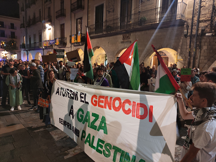 Manifestacions arreu de Catalunya contra l'ofensiva militar d'Israel a la franja de Gaza