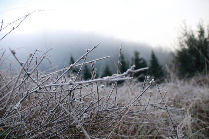 Protecció Civil dona per finalitzada l'alerta per vent però continua actiu l'episodi de fred extrem a Catalunya