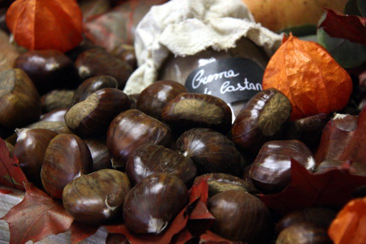 Les quatre capitals de demarcació tindran 142 parades de castanyes al carrer aquesta tardor, una xifra rècord