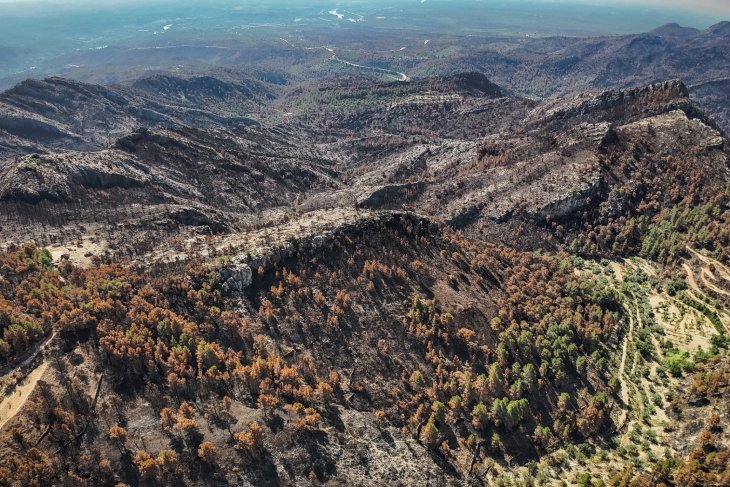 El govern espanyol garanteix ajudes per als afectats dels incendis a la Segarra i el Baix Ebre