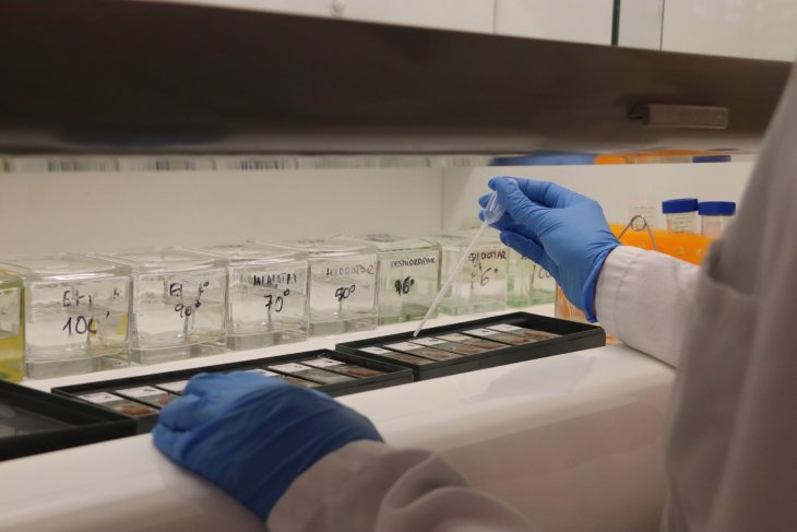 Neuròlegs urgeixen a preparar la sanitat pública per a una “nova era” de l’Alzheimer i l’arribada dels primers fàrmacs