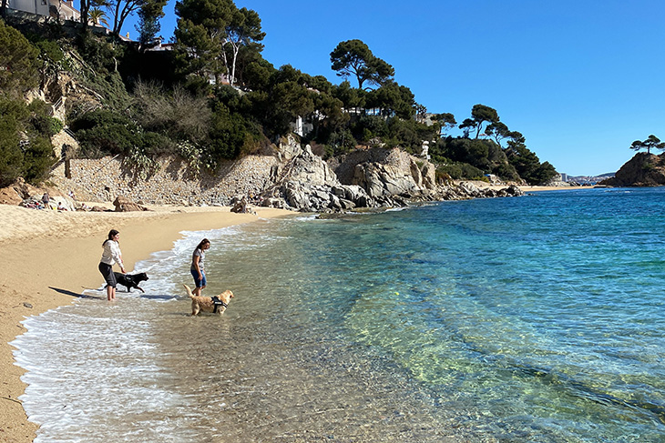 Més de la meitat de municipis costaners de Catalunya tindran platja per a gossos aquest estiu