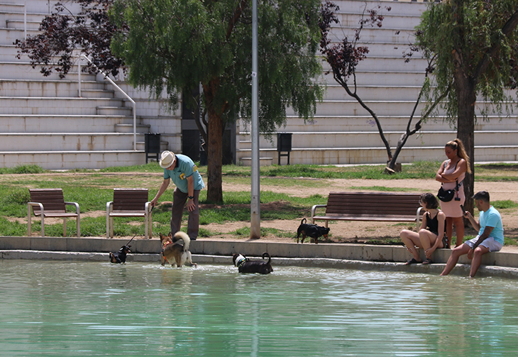 Protecció Civil activa en alerta el pla PROCICAT per calor molt intensa a partir de dimarts