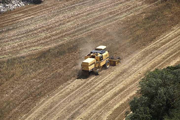 La sequera extrema ha fet caure un 70% la collita de cereal a Catalunya
