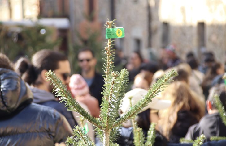 Espinelves posa punt i final a la Fira de l'Avet amb una assistència que ronda els 120.000 visitants