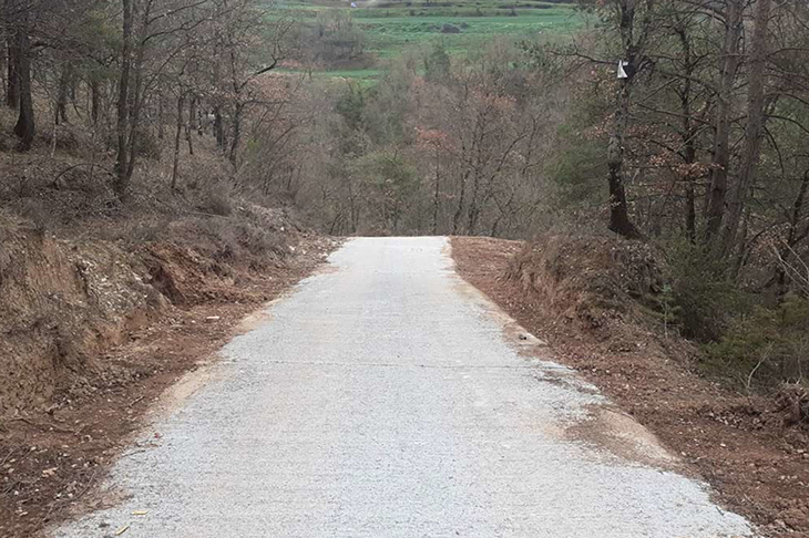 La Diputació de Barcelona destina 945.000 euros en treballs de prevenció d'incendis forestals a Osona