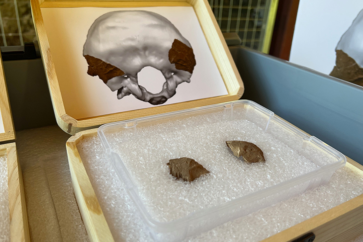 Descobreixen restes d'un crani de neandertal juvenil i indicis de canibalisme a les Coves del Toll de Moià