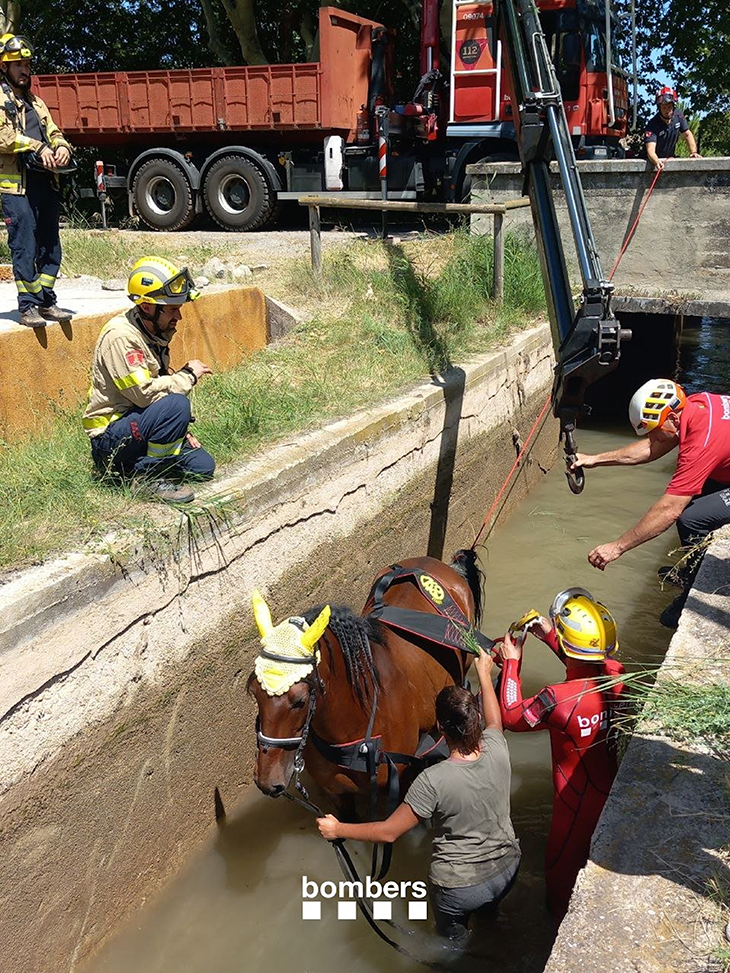 Rescaten dos cavalls i les seves genets que havien caigut per un canal a Balsareny