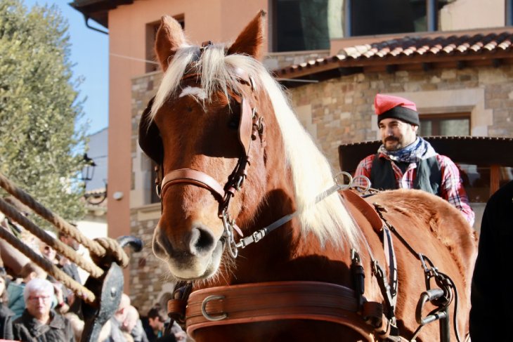 Taradell converteix la festa dels Tonis en un “gran museu viu” del patrimoni rural