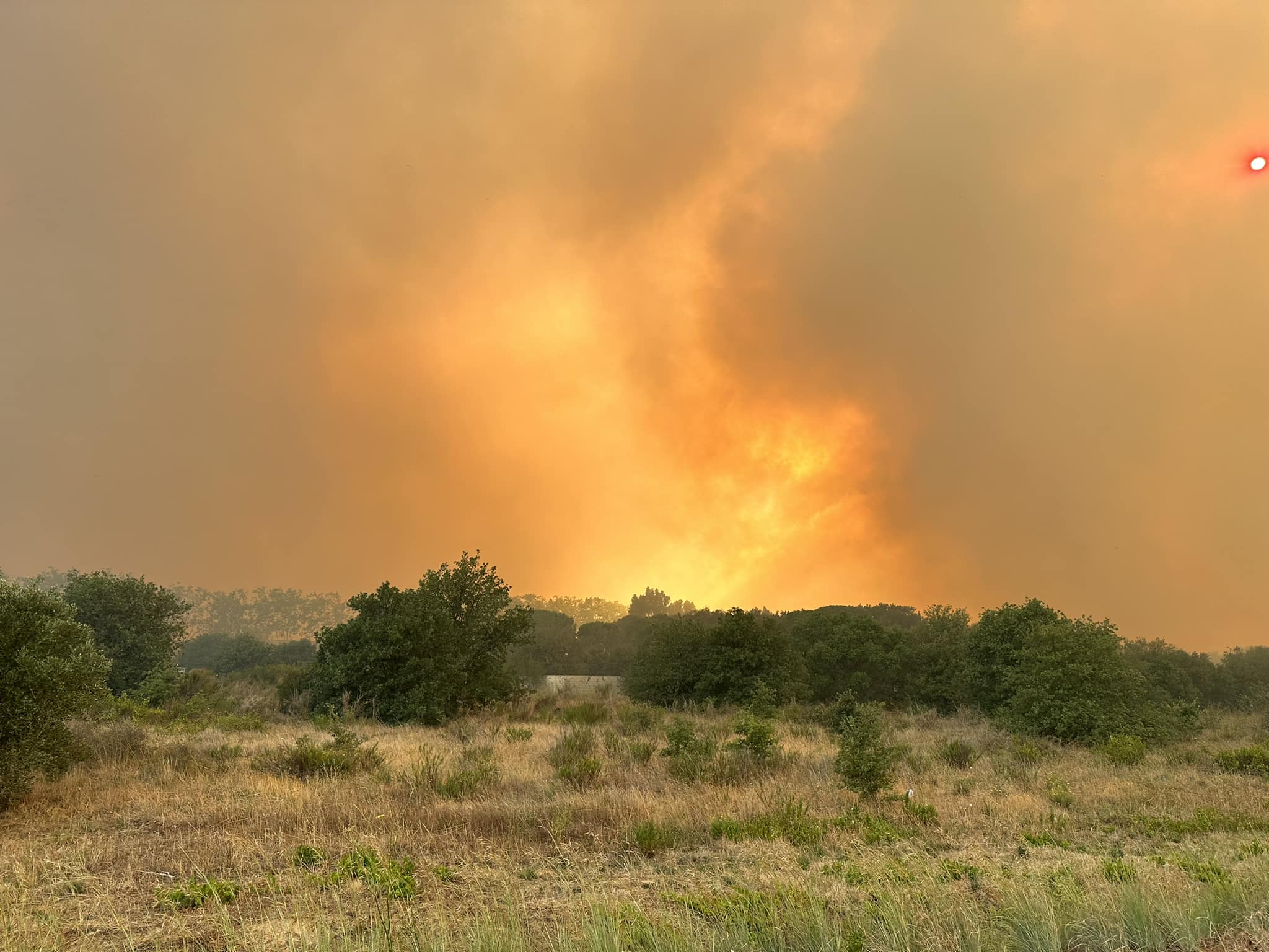 Més de mig miler de Bombers treballen per apagar un incendi forestal al Rosselló que hauria cremat unes 300 hectàrees