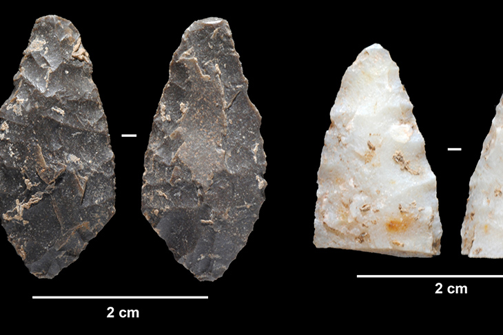 Descobreixen restes d'animals i materials de fa 20.000 anys a la cova d'en Pau de Serinyà