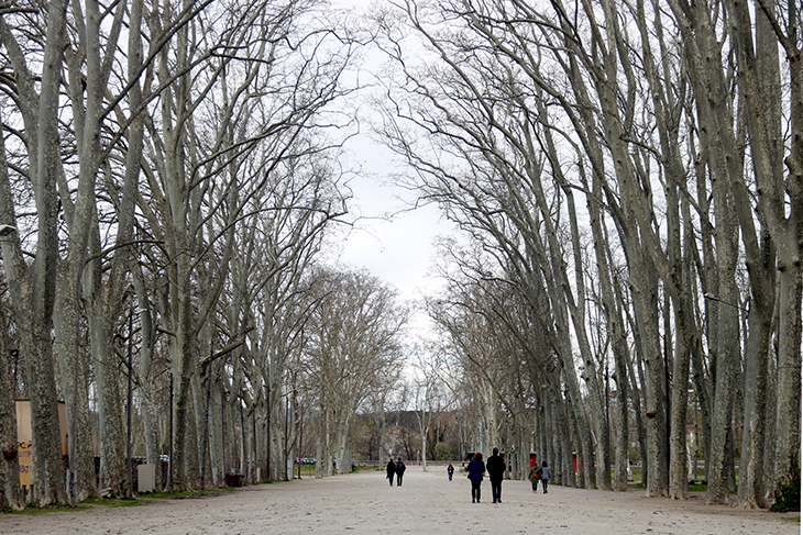 Girona aprova el projecte de 2 MEUR que permetrà renovar l'enllumenat a la Devesa i eliminar les zones fosques del parc