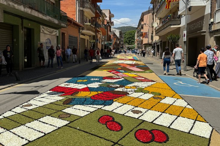 Els carrers Segimon Folgueroles, Castell, Major i els Catifeixons guanyen el concurs de catifes florals d'Arbúcies