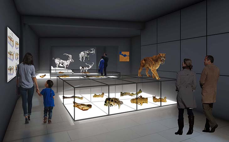 L'ésser humà i la seva adaptació al territori centraran el discurs del nou Museu Arqueològic de Banyoles
