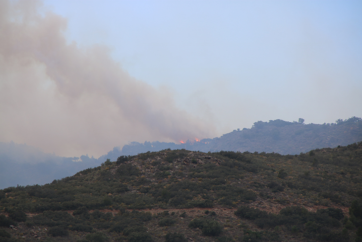 L'incendi del Rosselló ja arriba fins a Portbou i afecta 550 hectàrees