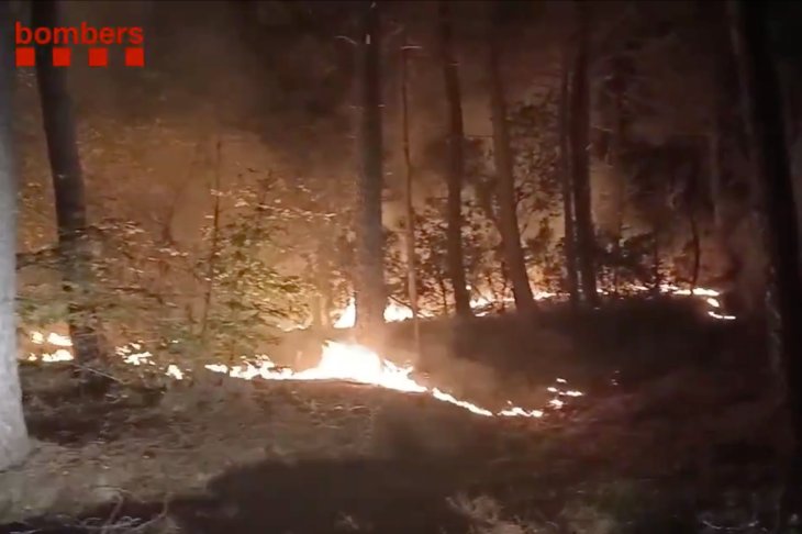Els Bombers donen per estabilitzat l'incendi entre Amer i Susqueda