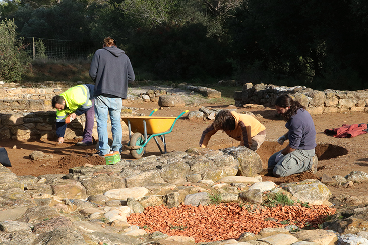 Busquen nous vestigis d'una poció del segle III a.C a Mas Castellar de Pontós, l'únic jaciment on s'ha trobat
