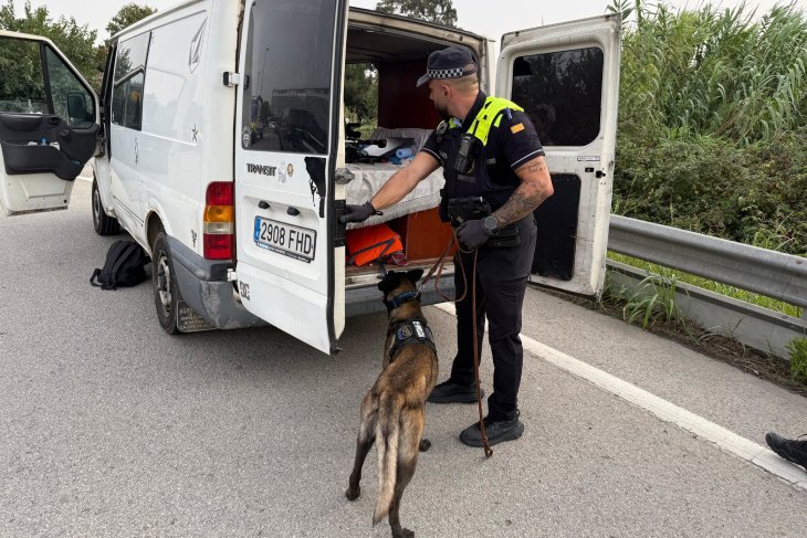 Blanes incrementa un 25% el nombre d'actes que aixeca per possessió de droga gràcies a la unitat canina