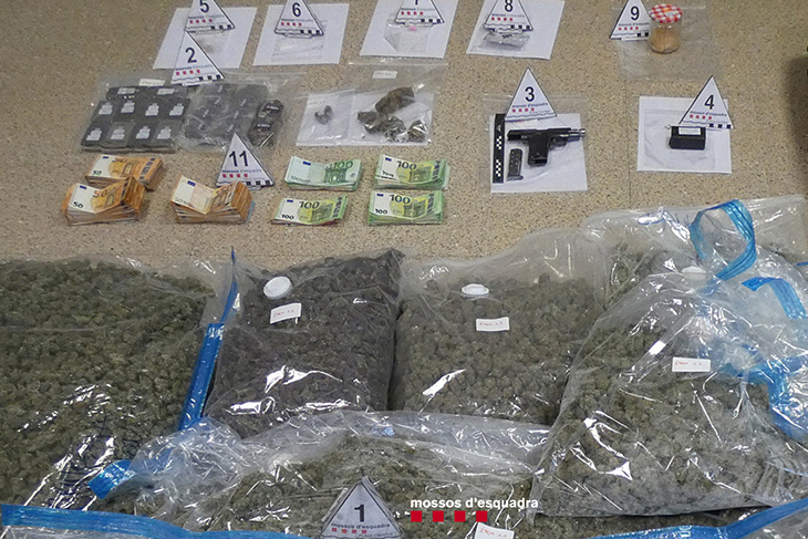 A presó un detingut a Capmany que transportava més de 19 kg de marihuana, una arma de foc i 60.000 euros