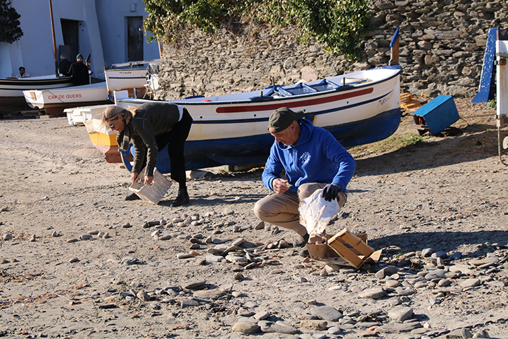 Retornen una tona de "passanelles" a Port Lligat i denuncien l'espoli del 40% de les pedres de les platges de Cadaqués