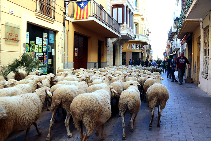 El Baix Penedès senyalitza tretze camins ramaders mil·lenaris com a nou reclam turístic