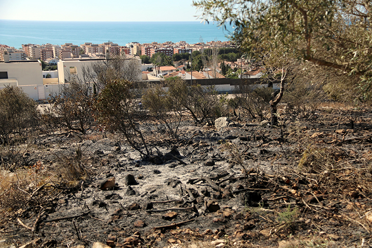 Veïns de Calafell propers a l’incendi: “Vam estar creuant els dits per a què el foc no arribés a casa nostra”