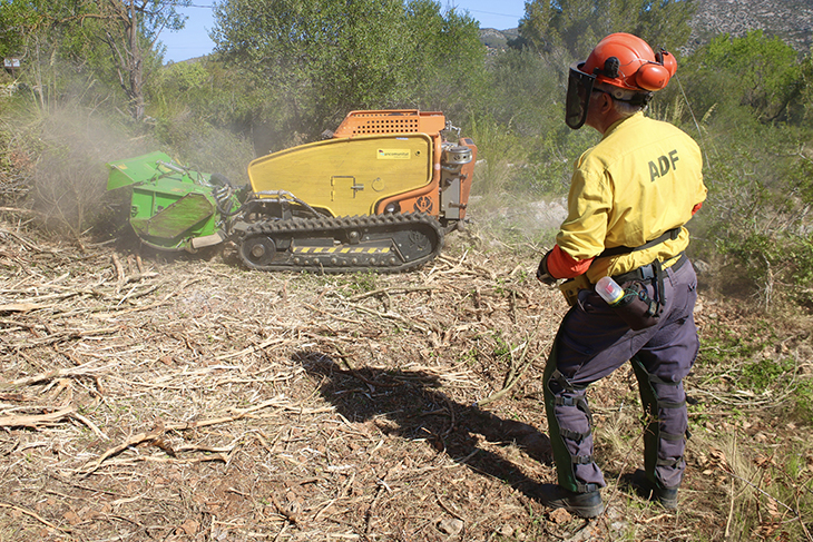 Comencen els treballs de desbrossament per rebaixar el risc de propagació en cas d'incendi forestal al massís del Garraf