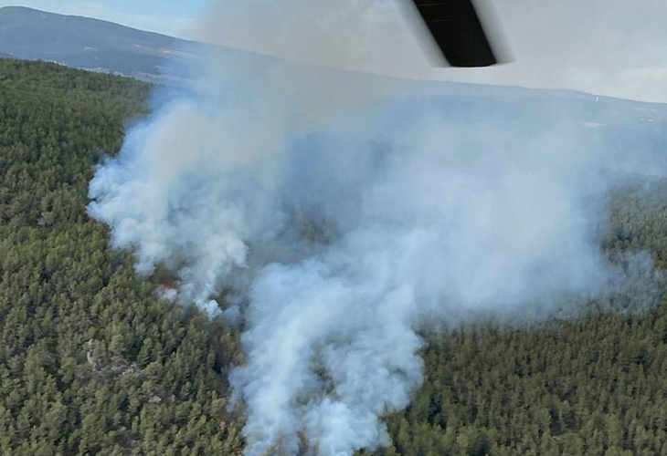 17 dotacions dels Bombers, 4 d'aèries, treballen en un incendi de vegetació boscosa al Montmell