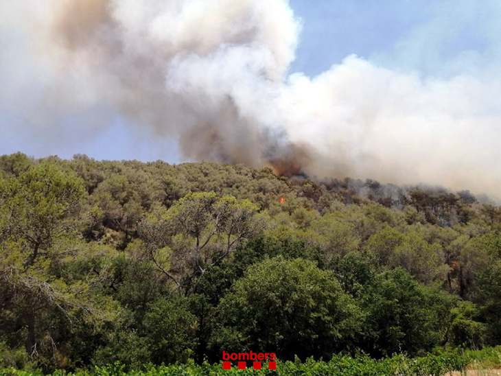 incendi forestal a Olivella