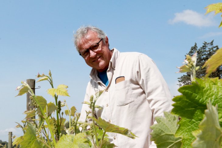 La DO Penedès lamenta que el sector vitivinícola hagi quedat exclòs dels aranzels reduïts del 2,5%