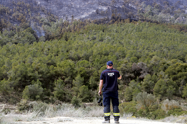Controlat l'incendi originat a Mequinensa, que ha afectat més de 450 hectàrees entre l'Aragó i Catalunya