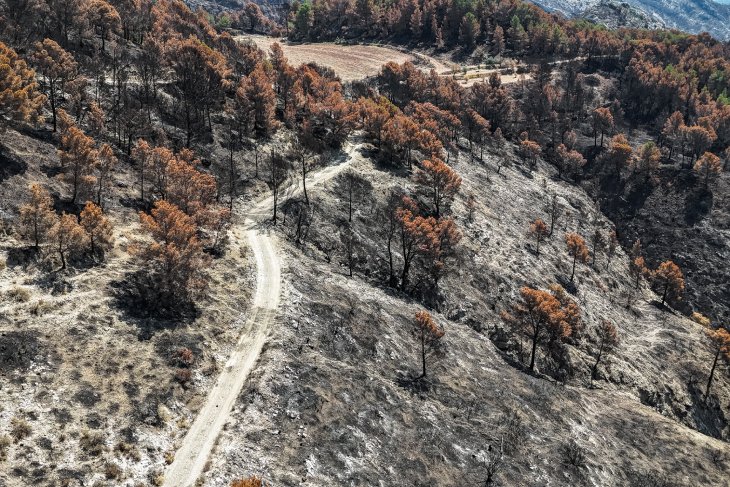 Diumenge amb risc extrem d'incendi a les Terres de l'Ebre per l'entrada del vent de mestral